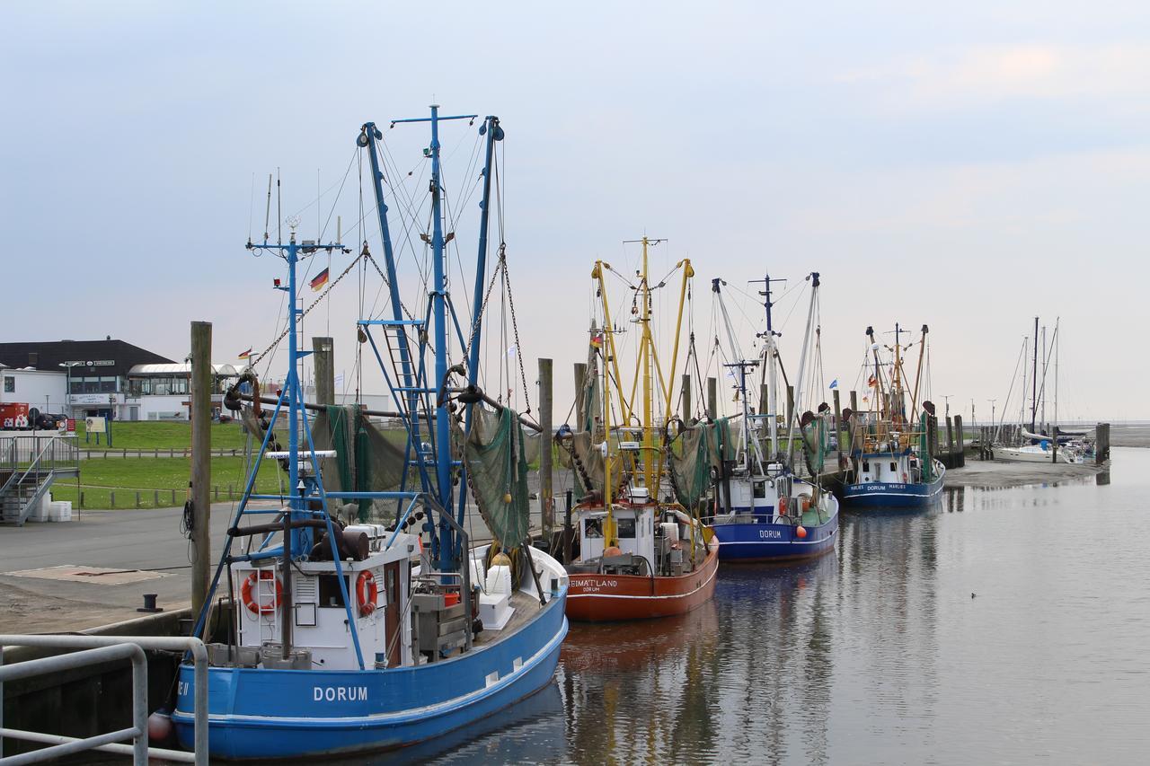 Ferienhaus Vogel - Dorum Neufeld - Nordsee المظهر الخارجي الصورة
